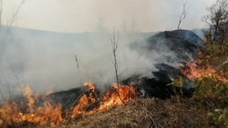 Палы в центральной части Сахалина задымили одно из сел