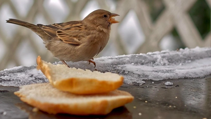 Церковный праздник 3 марта 2025: что нельзя делать в этот день, приметы