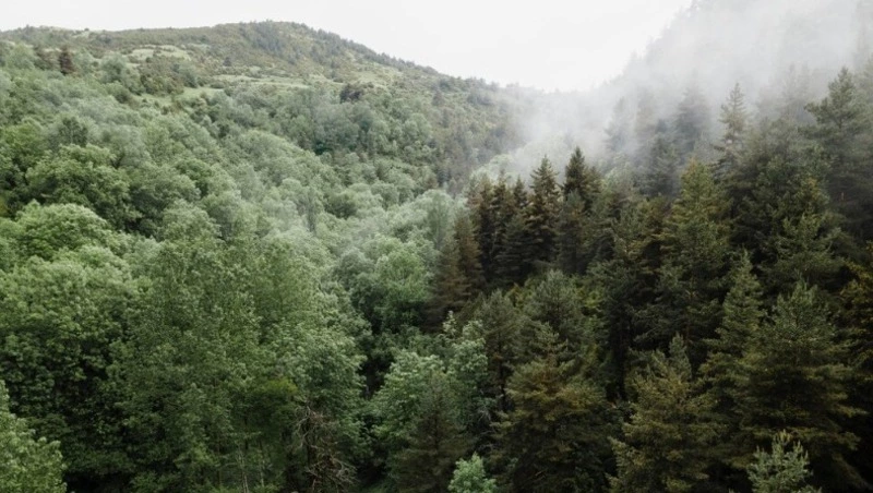 «Сахалинморнефтемонтаж» заплатит 953 тысячи рублей за вред природному заказнику в Охе