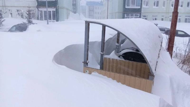 Жителей Южно-Сахалинска попросили о помощи в расчистке контейнерных площадок