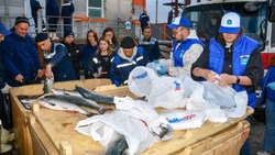 Жителям Южно-Курильского района раздали 735 кг бесплатной рыбы в 2022 году