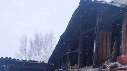 Пожарные более трех часов тушили горящий дом в селе Быков