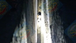 Спасатели освободили щенка из-под железобетонной плиты в Южно-Сахалинске