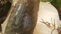Неизвестный выбросил более 1000 бутылок из-под алкоголя на поляне в Холмске 