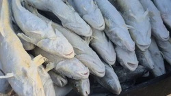 Где купить дешевую рыбу в Южно-Сахалинске 28 марта: адреса и цены