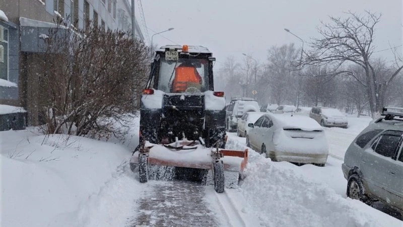 Сильный снег и порывистый ветер: погода в Сахалинской области в Старый Новый год