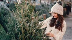 Розыгрыш живых елок проводят среди жителей Южно-Сахалинска 