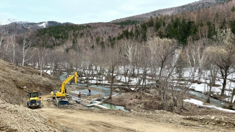 Суд: развитие сахалинского «Горного воздуха» не повредило краснокнижной лилии 