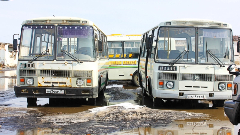 Автобусный переполох