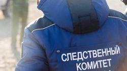 Стая собак напала на детей прямо на глазах у родителей в Брянске