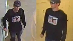 Трамп требует применить смертную казнь в отношении убийцы Кирка