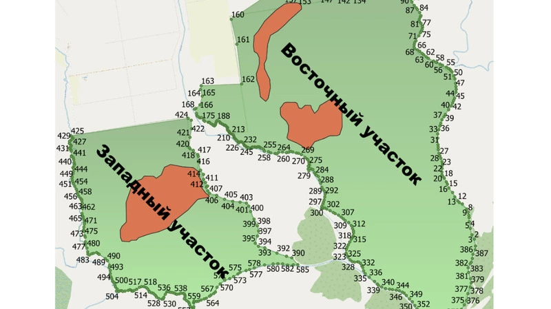На Сахалине в «Успеновских клюквенниках» теперь нельзя рубить деревья и устраивать свалки