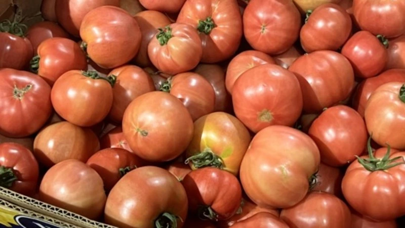 Фермер из Анивы развивает свое хозяйство благодаря господдержке