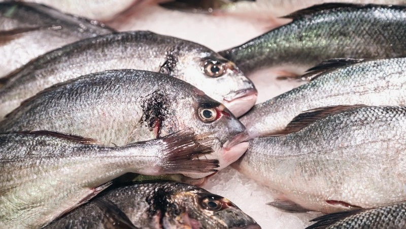 Более 11 тысяч тонн рыбы и морепродуктов экспортировали с Сахалина и из Приморья