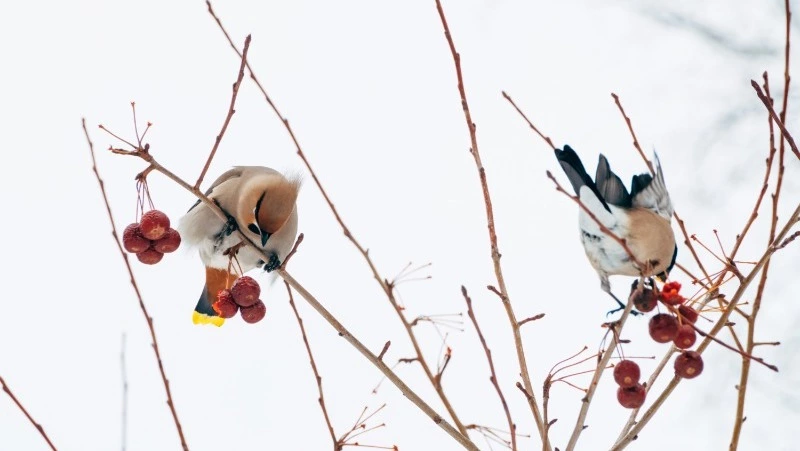 Церковный праздник 9 декабря 2024: что нельзя делать в этот день, приметы