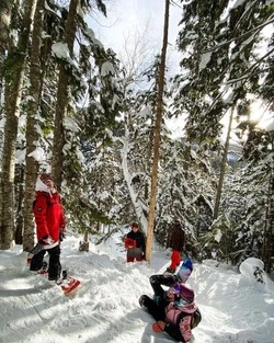 Сахалинский подросток заблудился в лесу на «Горном воздухе»