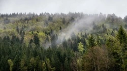 Дышать станет труднее: в Южно-Сахалинске ожидается накопление вредных веществ