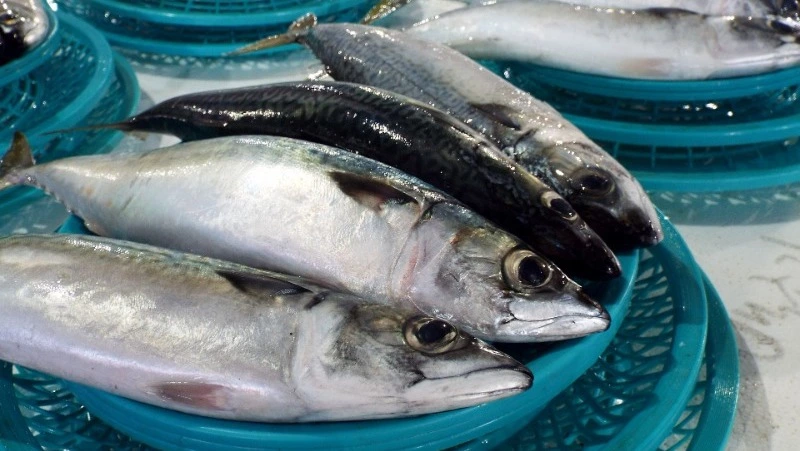 Жительница столицы Сахалина продавала на рынке краснокнижную рыбу