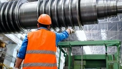 Мигрантов хотят высылать из России за пьяное вождение и публичные драки