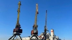 Экспорт рыбы с Сахалина и Приморья с начала года увеличился на 22%