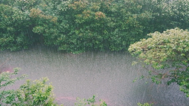 Дожди и сильный ветер придут в 11 районов Сахалинской области 4 октября