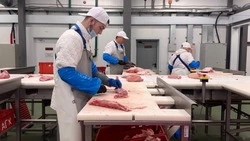 Свежее круглый год: как агропарк на Сахалине сохраняет урожай и производит мясо