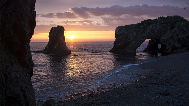 Telegram’мы Сахалина. Трутнев на островах, граждане Российской империи, крабовый дух