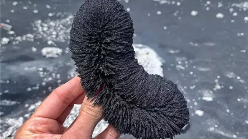 На курильских пляжах обнаружен ценный песок. Японские самураи делали из него мечи