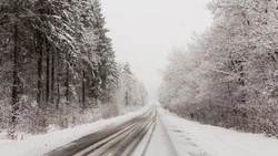 Из-за непогоды на Сахалине временно остановили 14 автобусных маршрутов