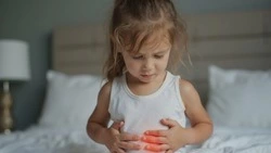 Летняя напасть