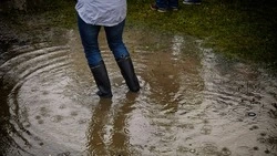 В районах Сахалинской области разработают программы по борьбе с подтоплениями