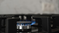 Информация об увеличении штрафа за пользование старыми газовыми плитами в России оказалась фейком