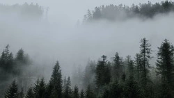 Режим ЧС ввели из-за дыма от пожаров в соседнем с Сахалином регионе