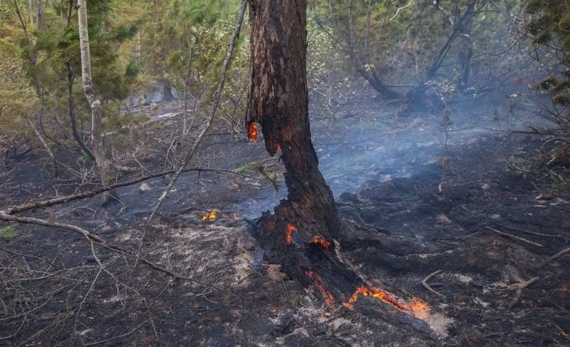 За лесными пожарами на Сахалине и Курилах следят из космоса