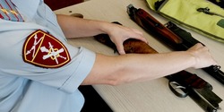 Росгвардейцы изъяли 9 экземпляров огнестрельного оружия у жителей Сахалина