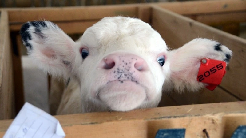 В марте на Сахалине оформили почти 900 тысяч электронных документов в «Меркурии»