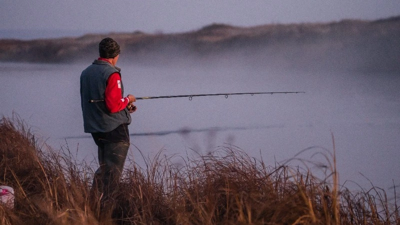 «Вишнёвый» лосось пошёл