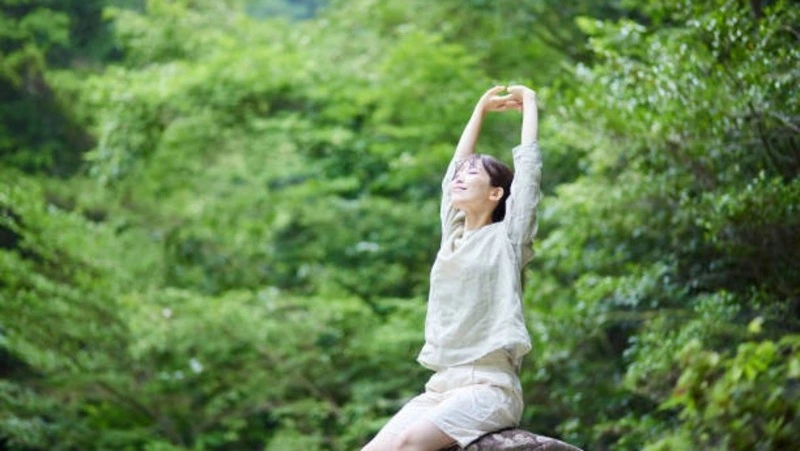 Вместо клиники — лес: японские медики предложили новую методику поддержки здоровья