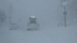 Энергетики на Сахалине перешли в режим повышенной готовности из-за возможной метели