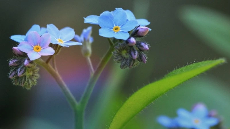 Народные приметы на 4 мая: что нельзя делать в Проклов день