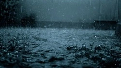 Дождь и усиление ветра ожидают в двух районах Сахалинской области 30 марта