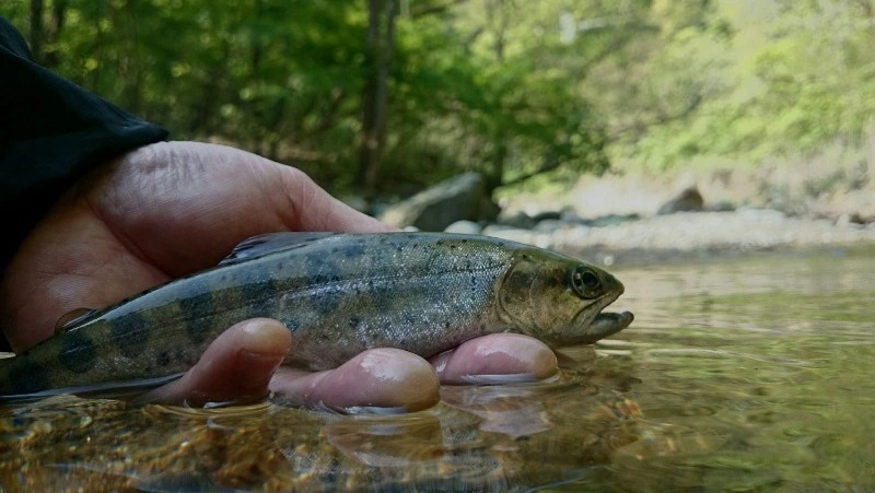 Церковный праздник 23 марта 2025: что нельзя делать в этот день, приметы