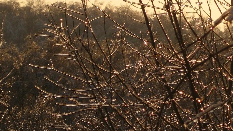 Дожди и холод накроют Сахалин. На Курилах тепло и комфортно