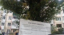 В Южно-Сахалинске строители приколотили баннер с паспортом объекта к дереву