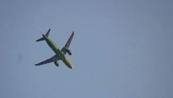 «Туркменские авиалинии» приостановили полеты в Россию