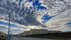 Погода в Южно-Сахалинске на 14 августа: без осадков и перистые облака