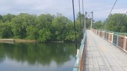 Экскурсия по висячему мосту закончилась грабежом в Аниве