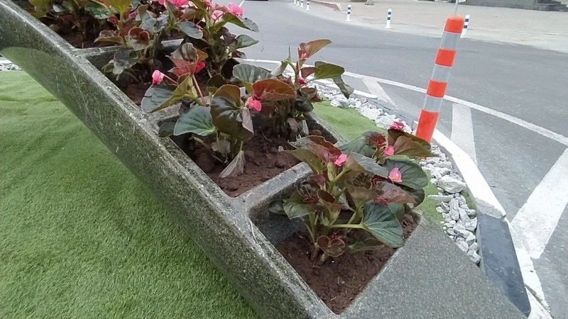 Цветами украсили мини-кольцо Вишневского в столице Сахалина