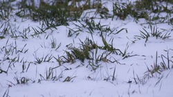 Снежный циклон уйдет с Сахалина на Курилы и Камчатку 8 ноября