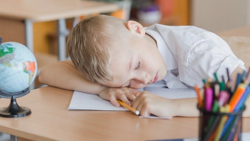 Советский экзамен для «жертв ЕГЭ»: вспомните, чему учили в СССР?